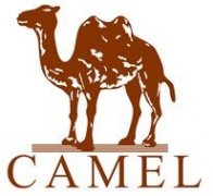 ＂云電商客服＂，CAMEL駱駝又玩創(chuàng)新